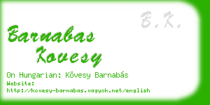 barnabas kovesy business card
